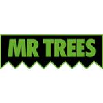 MR TREES image 2